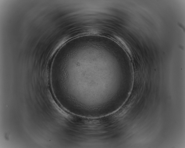 X0000093230851200709261650