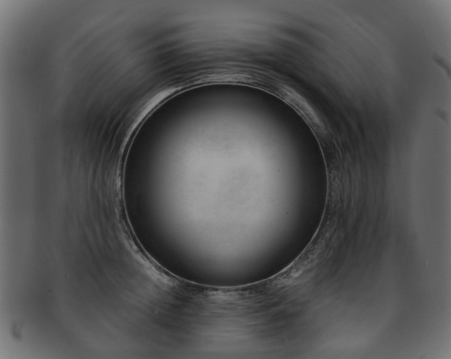 X0000093230852200709261650