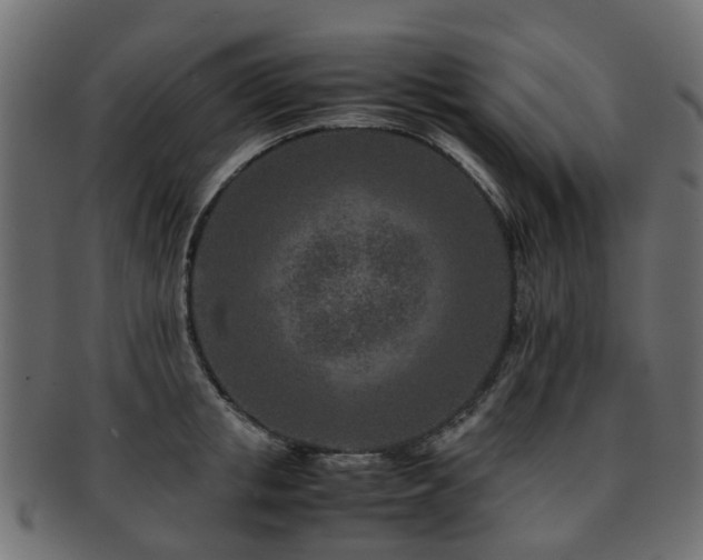 X0000093230853200709261650