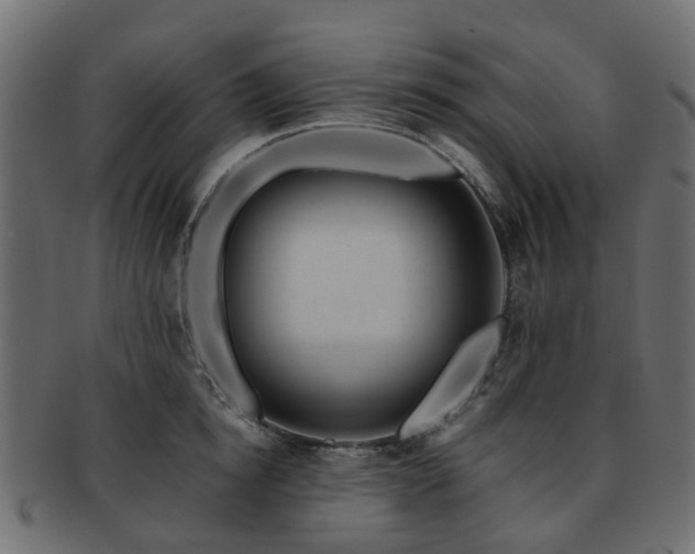 X0000093230854200709261650