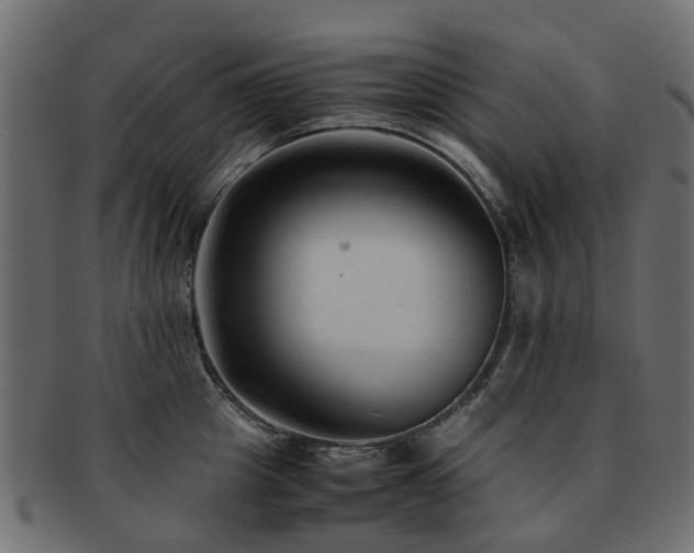 X0000093230857200709261650
