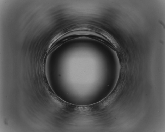 X0000093230858200709261650