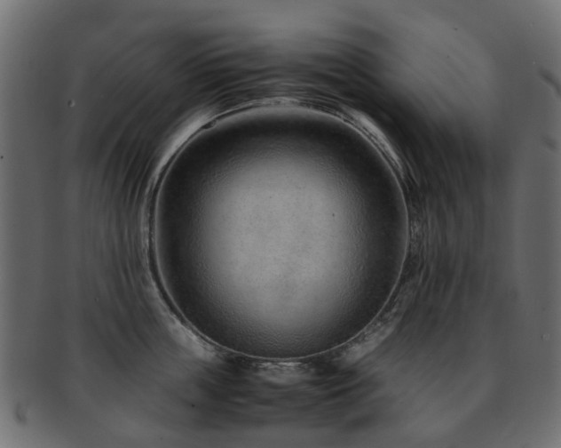 X0000093230859200709261650