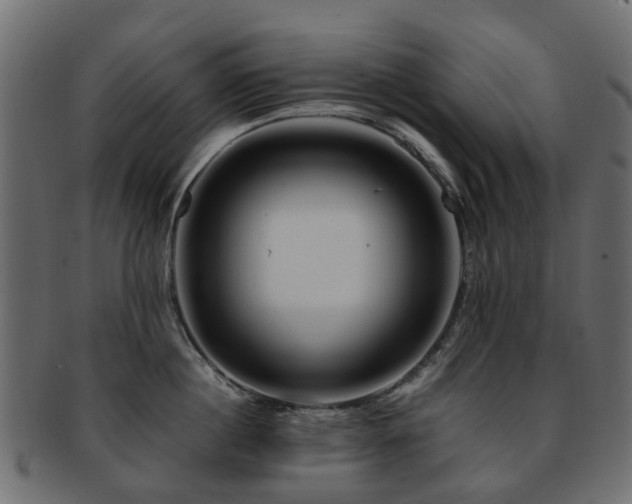 X0000093230860200709261650
