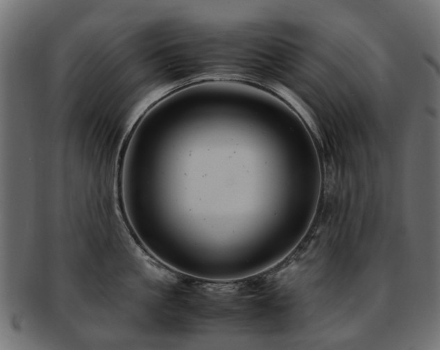 X0000093230861200709261650