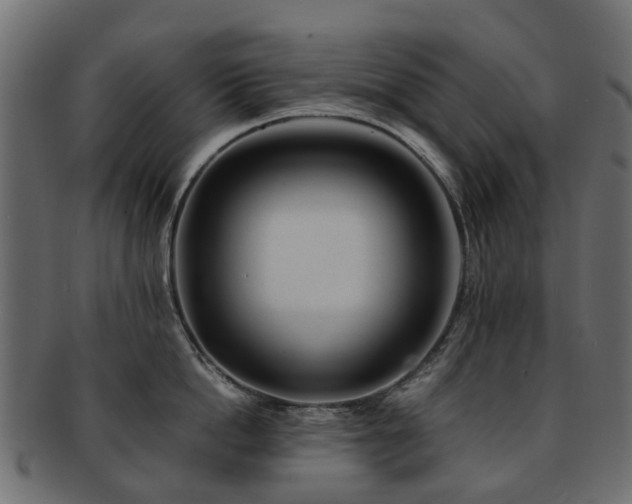 X0000093230862200709261650