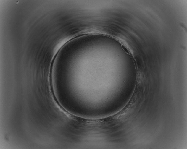 X0000093230863200709261650