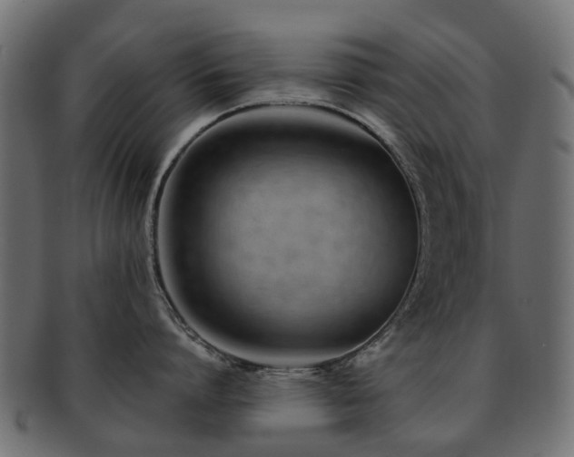 X0000093230864200709261650