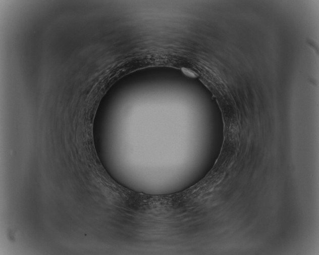 X0000093230865200709261650