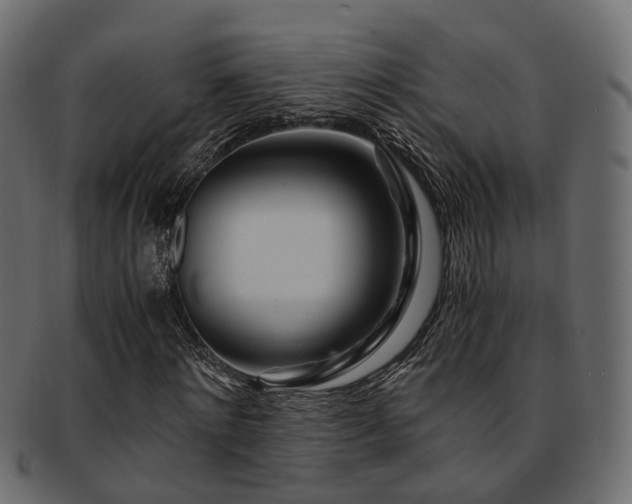 X0000093230868200709261650
