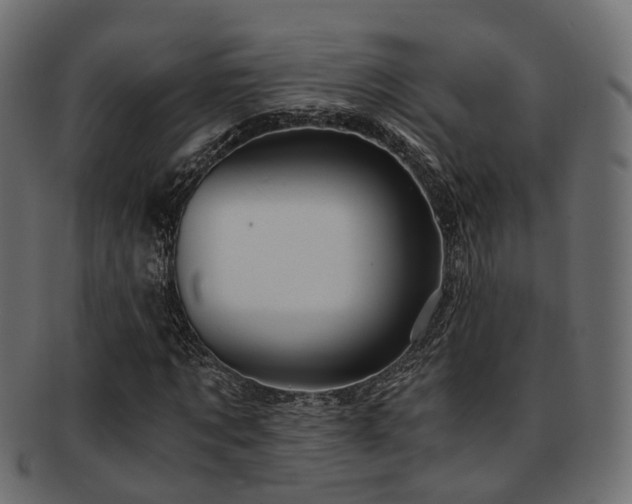 X0000093230869200709261650
