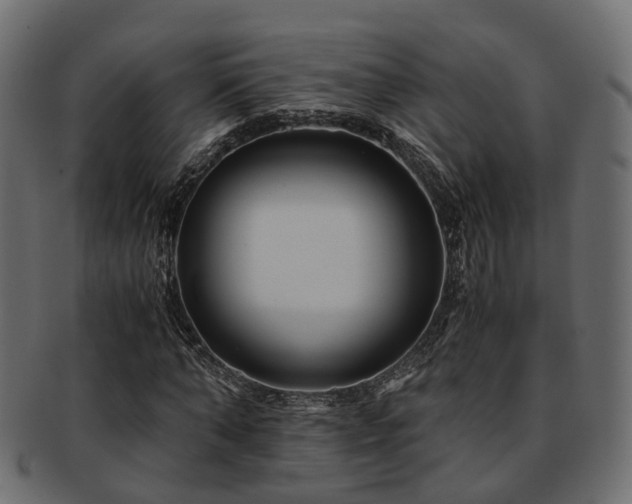 X0000093230870200709261650