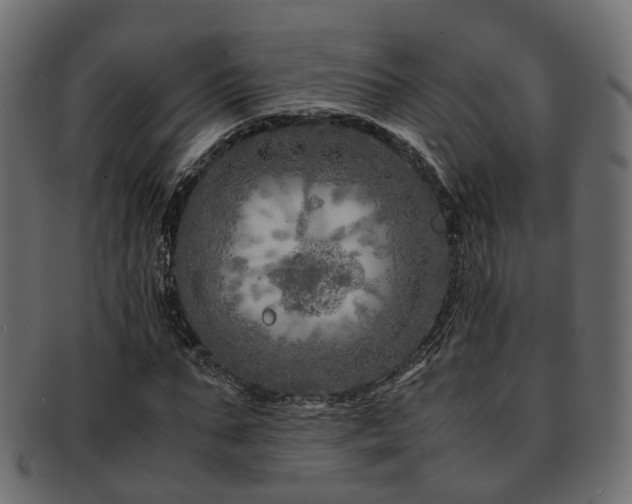 X0000093230871200709261650