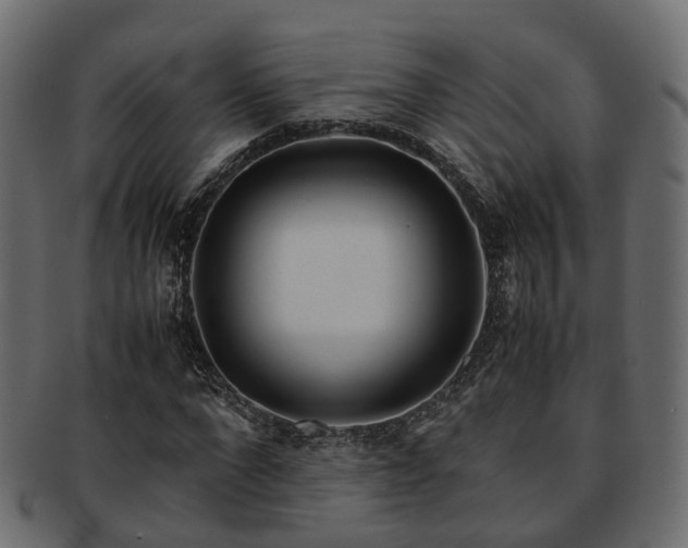 X0000093230872200709261650