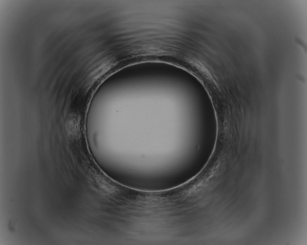 X0000093230873200709261650