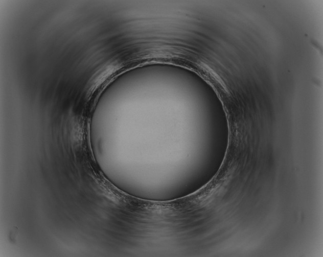 X0000093230874200709261650