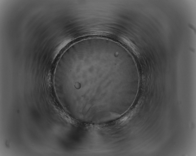 X0000093230875200709261650
