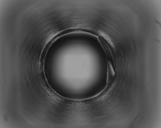 X0000093230876200709261650