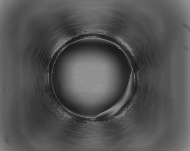 X0000093230877200709261650