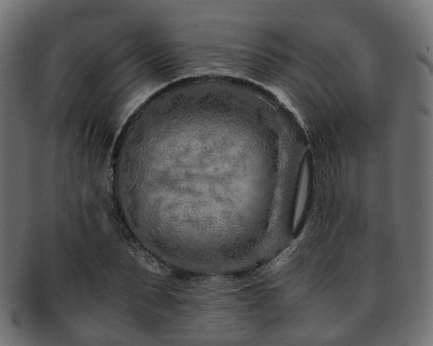 X0000093230879200709261650