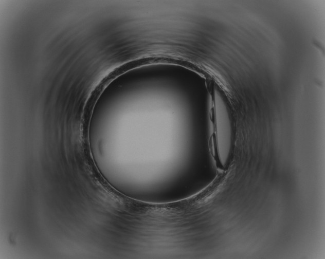 X0000093230880200709261650