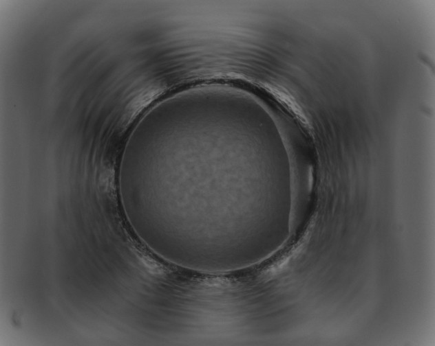 X0000093230881200709261650