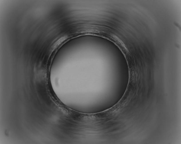 X0000093230882200709261650