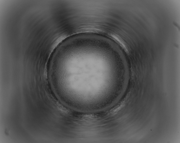 X0000093230883200709261650