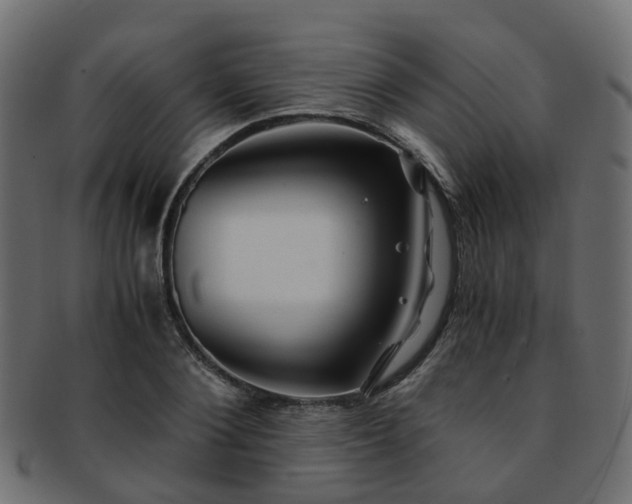 X0000093230884200709261650