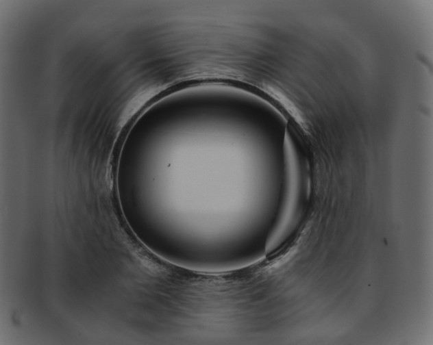 X0000093230885200709261650