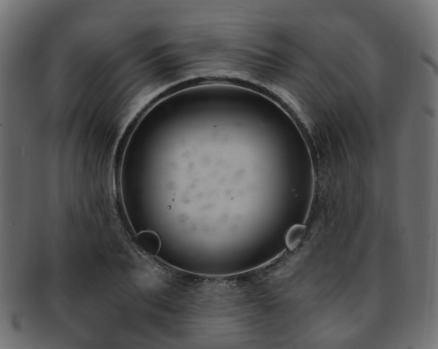 X0000093230887200709261650