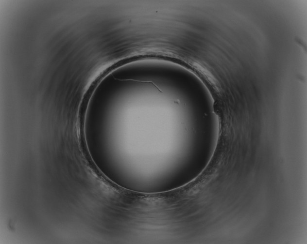 X0000093230888200709261650