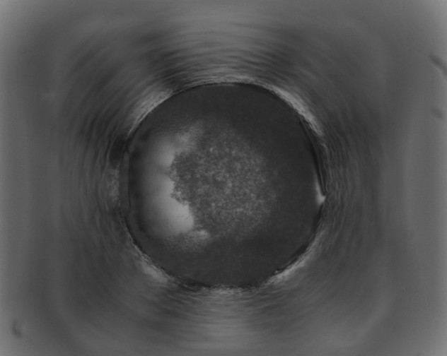 X0000093230889200709261650