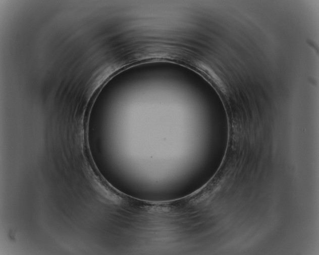 X0000093230890200709261650