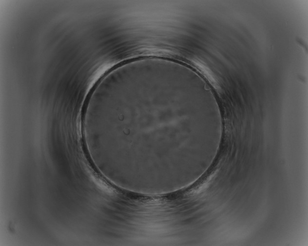 X0000093230891200709261650