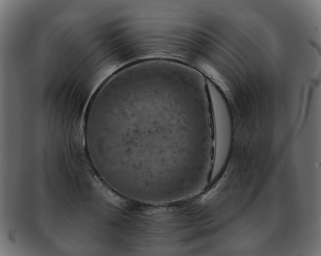 X0000093230892200709261650