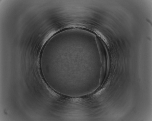 X0000093230893200709261650