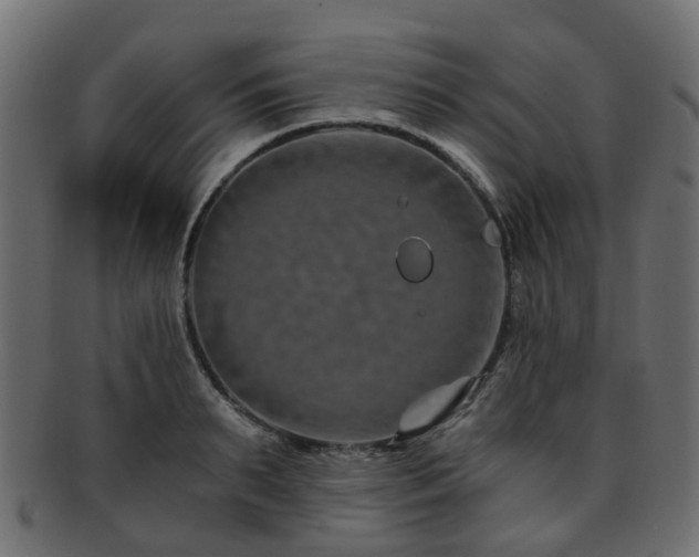X0000093230895200709261649