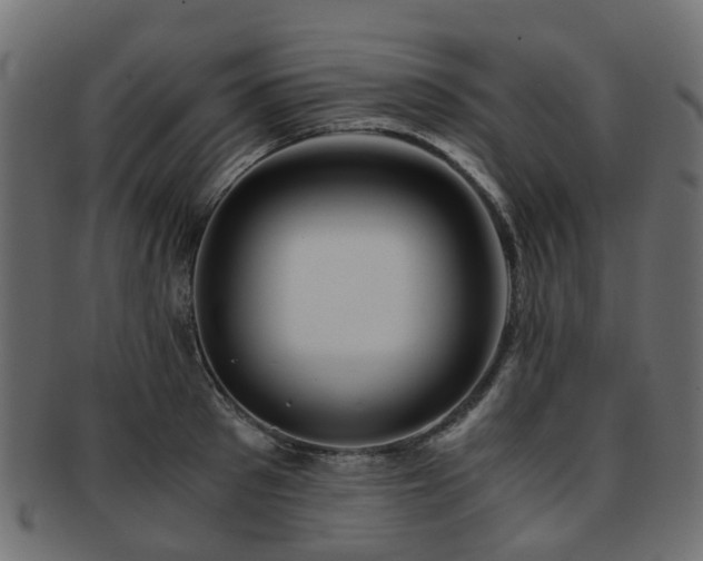X0000093230897200709261649
