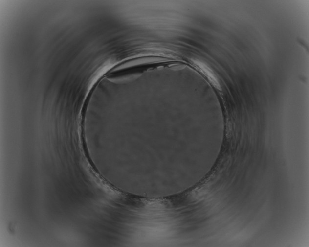 X0000093230899200709261649
