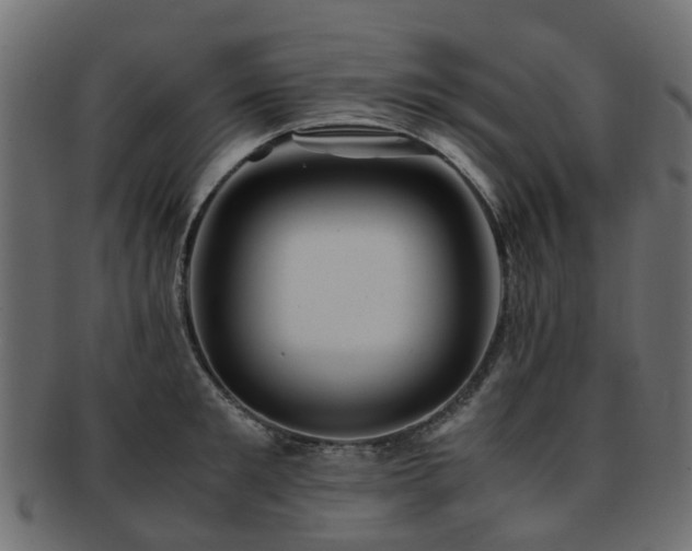 X0000093230901200709261649