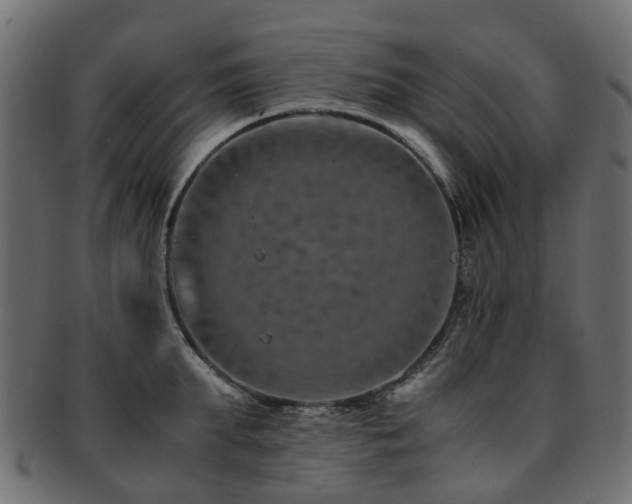 X0000093230903200709261649
