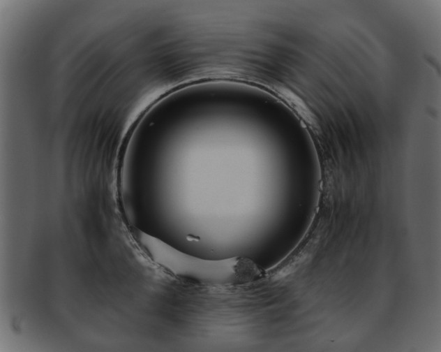 X0000093230904200709261649
