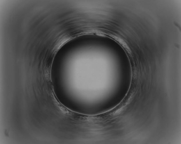 X0000093230905200709261649