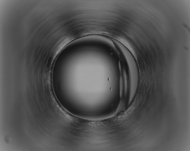X0000093230906200709261649