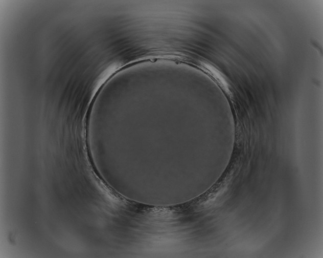 X0000093230907200709261649