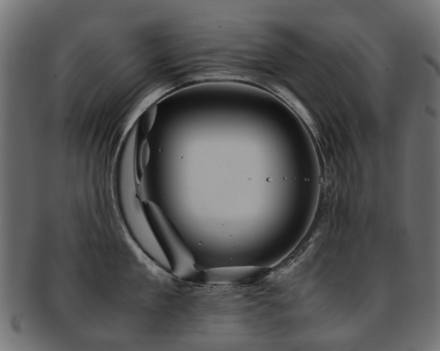 X0000093230909200709261649