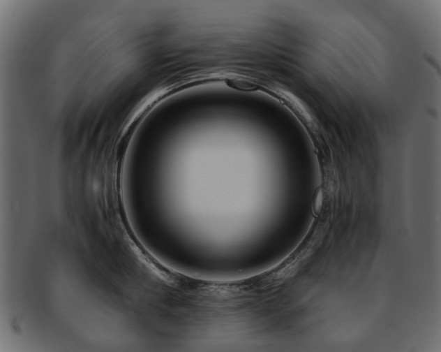 X0000093230910200709261649