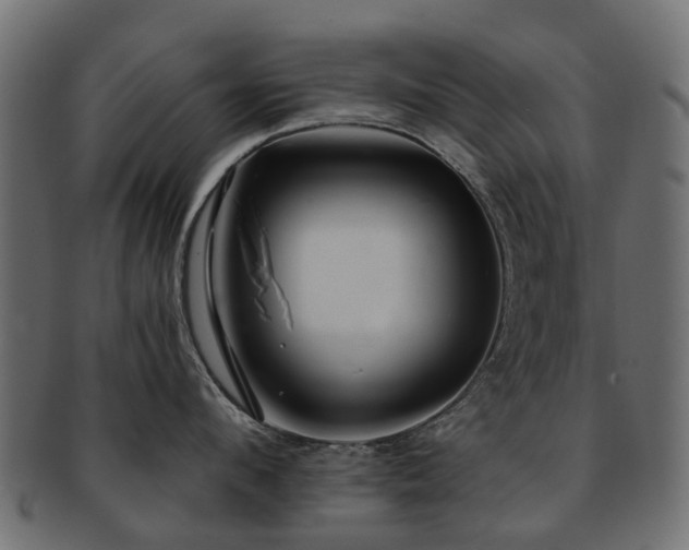 X0000093230912200709261649
