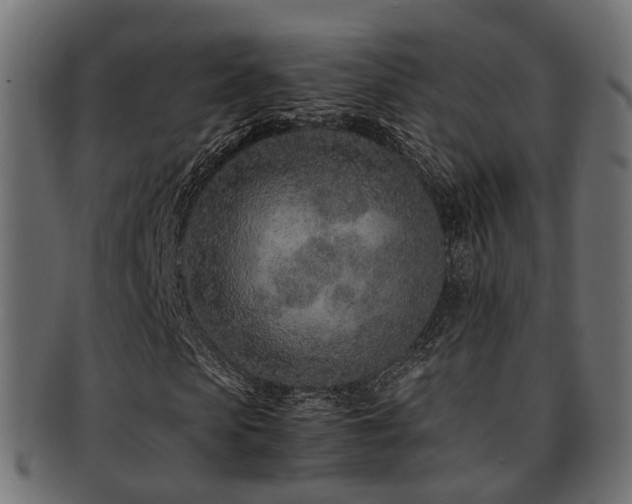 X0000093230913200709261649
